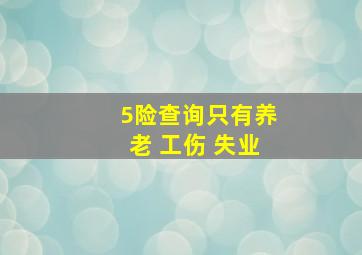 5险查询只有养老 工伤 失业